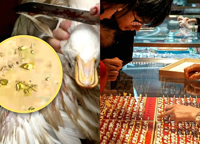 Trung Quốc: Phát hiện 10g vàng trong dạ dày vịt nuôi khi mổ lấy thịt