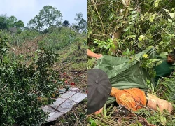 Xe tải chở 3 người lao xuống vực sâu 200m