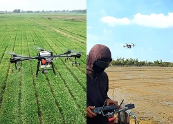 Áp dụng AI trong hệ thống canh tác: cần theo các nguyên tắc và đạo đức bao quát nào?