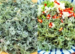 Bắt được "báu vật" mùa xuân mọc đầy rải rác: Đem làm món hấp ngọt mềm tơi xốp, nhà nội nhà ngoại gắp không ngừng đũa