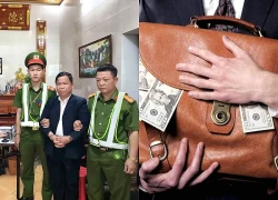 Bắt khẩn cấp kẻ tự nhận là luật sư, lừa đảo chiếm đoạt tài sản