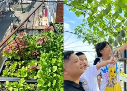 Cận cảnh khu vườn "2 trong 1" trên tầng 5, nuôi cá trồng rau khép kín, thu hoạch cả nửa tạ dưa lưới