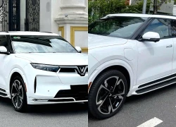 Chiến lược kinh doanh và bài toán kinh tế của chủ sở hữu 11 xe điện VinFast tại Hà Nội