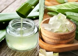 Chiết xuất từ lô hội, 'trợ thủ' chăm sóc da tự nhiên được ưa chuộng