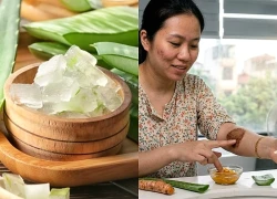 Chiết xuất từ lô hội, 'trợ thủ' chăm sóc da tự nhiên được ưa chuộng