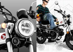 Honda Dax 2026 ra mắt: Mini bike dáng "chó lạp xưởng" cực độc