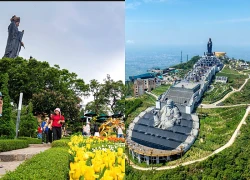 Lên đỉnh núi Bà Đen giữa mùa hoa tulip rực rỡ