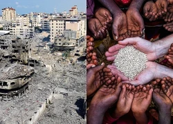 Nguy cơ rủi ro với an ninh lương thực toàn cầu