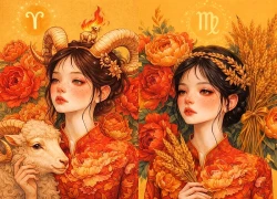 12 cung hoàng đạo ngày 11/3/2026: Bạch Dương, Bảo Bình đón vận may tài lộc