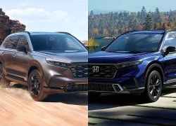 Cập nhật bảng giá xe hãng Honda mới nhất tháng 3/2026