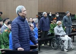 Cựu Chủ tịch Vicem Lê Văn Chung kháng cáo xin giảm nhẹ hình phạt