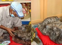 Tảng đá hình con ếch trong cửa hàng bỗng xuất hiện vệt vàng lạ sau Tết, người dân kéo đến xem kín nhà