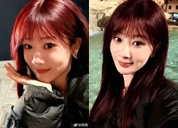 Tình trạng hiện tại của Dương Tử