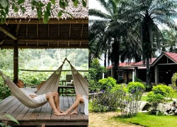 "Viện dưỡng lão Gen Z" cho người trẻ kiệt sức mở tại Malaysia, giá khoảng 13,3 triệu/tháng