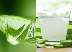 5 lợi ích uống nước ép lô hội khi thức dậy