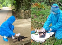 Chó dại cắn liên tiếp 3 người ở xã Lãnh Ngọc