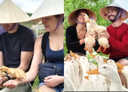 Du khách nước ngoài thích thú trải nghiệm du lịch nuôi vịt, chăn trâu, câu cá