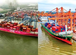 Ngành vận tải hàng hải châu Á đón sóng hồi phục