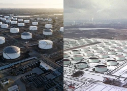 Nhật Bản, Canada mở kho dự trữ dầu nhằm bình ổn thị trường