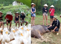 Phong Nha: Trải nghiệm 'massage vịt' độc đáo khiến du khách quốc tế thích thú