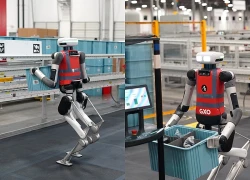 Robot đã bắt đầu đi làm: Ai sẽ là người mất việc đầu tiên?