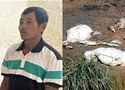 Tuyên án người đàn ông đâm thủng bụng hàng xóm vì 3 con vịt chết