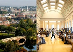 Tỷ lệ chọi vào Đại học Harvard là bao nhiêu?