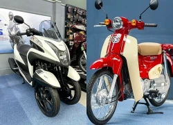 Xe máy bản đặc biệt giá đắt đỏ vài trăm triệu, hút khách đại gia tại Việt Nam