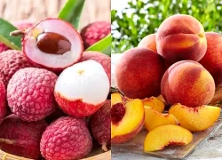 7 loại trái cây có hột giàu chất chống oxy hóa giúp chậm lão hóa, tốt cho đường ruột