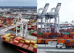 EU ra điều kiện thực thi ưu đãi thuế quan đối với hàng hóa Mỹ