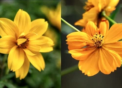 Ba khung giờ sinh 'giàu muộn': Qua tuổi 40 càng nhiều tiền