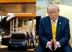 Bão giá dầu đe dọa kinh tế: Tổng thống Trump tìm cách kiềm chế
