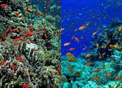 Đề xuất tổ chức Hội nghị về vùng biển quốc tế vào đầu năm 2027