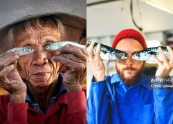 Nghi vấn sao chép quanh "bức ảnh chụp ngư dân Hội An cầm hai con cá thắng giải quốc tế"