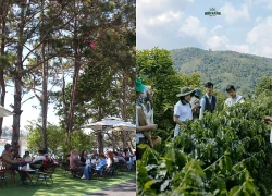 Sức hấp dẫn của du lịch cà phê