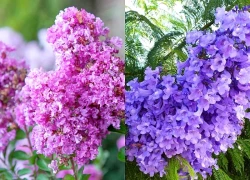 Đúng hôm nay, thứ 6 ngày 27/3/2026, 3 con giáp Thần Tài giáng lâm, trúng số độc đắc, công việc làm đâu thắng đó, tiền đẻ ra tiền đếm hoài không hết