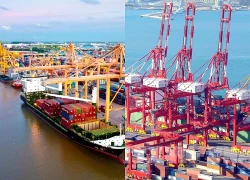 OECD: 'Phép thử' đối với khả năng phục hồi của kinh tế thế giới