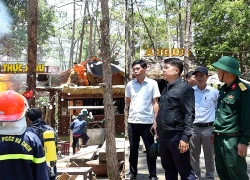 Quảng Ngãi: Cháy lớn tại Khu phố đêm Măng Đen, 6 gian hàng bị thiệt hại