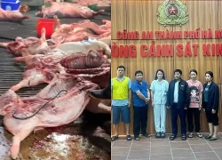 300 tấn lợn bệnh ở Hà Nội lọt qua cửa kiểm dịch như thế nào?