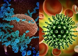 Campuchia giám sát biến thể mới của virus SARS-CoV-2