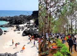 Lễ hội Du lịch Quảng Ngãi năm 2026: Nơi thiên nhiên và văn hóa hội tụ