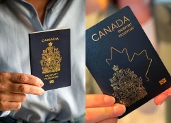 Ngày càng nhiều người Mỹ xin quốc tịch Canada làm phương án dự phòng