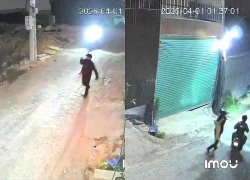 Người dân bức xúc vì "cẩu tặc" hoành hành ở Đà Lạt