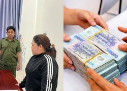 Nữ giám đốc công ty xây dựng bị khởi tố 2 tội danh