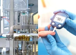 Phát hiện quan trọng về vai trò của sắt trong quá trình sản xuất insulin