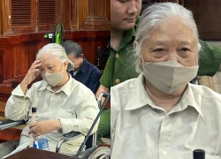 Rút ruột gần 250 tỷ đồng từ ngân hàng bằng hồ sơ khống