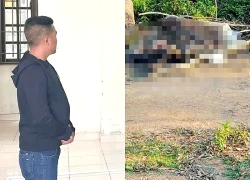 Vô ý làm chết người khi lái xe nâng, người đàn ông ở Tây Ninh lĩnh án