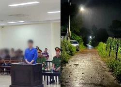 Xét xử nam sinh 16 tuổi trong vụ án giết người bằng nửa viên gạch