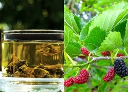 Cách dùng lá dâu tằm cải thiện giấc ngủ