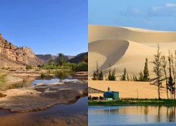 Đưa "biển cát" Sahara thành điểm đến toàn cầu